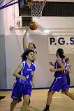 Basket C321005